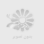 طلا بخریم یا سکه؟ راهنمای جامع خرید طلا و سکه